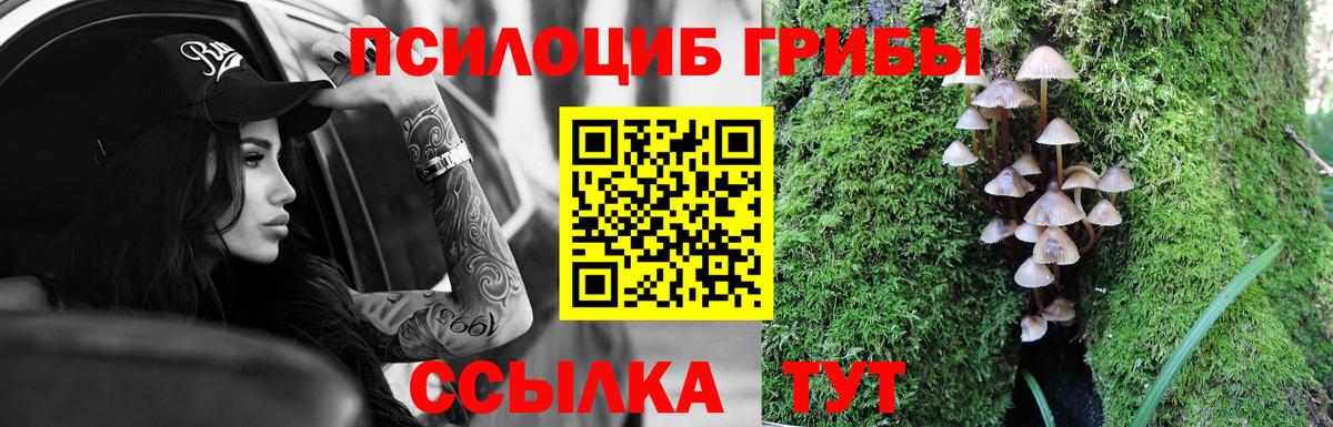 Лесосибирск  Галлюциногенные грибы Magic Shrooms  Вход с VPN 