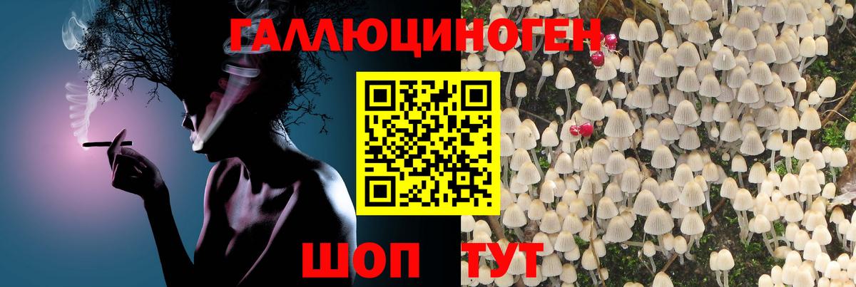 Псилоцибиновые грибы мицелий Лесосибирск